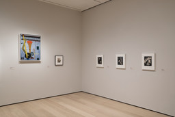 Installation photo, 7 of 23
