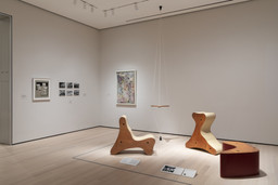Installation photo, 9 of 12