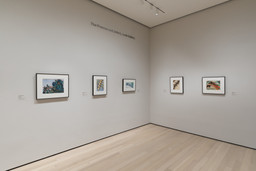 Installation photo, 4 of 6