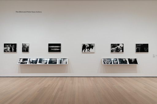 Daidō Moriyama (森山 大道). Stray Dog, Misawa. 1971 | MoMA