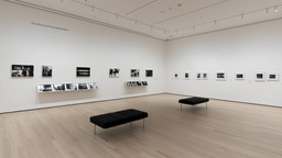 Installation photo, 9 of 10