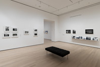 419: Four Photo­graphers, Four Places. Oct 21, 2019–Apr 18, 2021. 14 other works identified