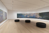 515: Claude Monet’s Water Lilies. Ongoing. 1 other work identified