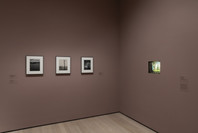 517: Surrealist Objects. Ongoing. 3 other works identified