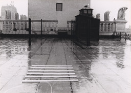 The Museum of Modern Art Archives, New York