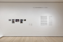 Installation photo, 10 of 91