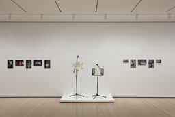 Installation photo, 12 of 91