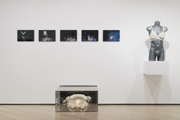 Installation photo, 21 of 91