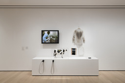 Installation photo, 63 of 91