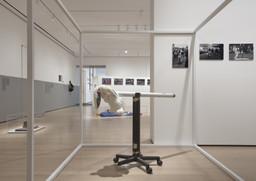 Installation photo, 68 of 91