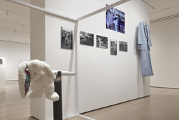 Installation photo, 69 of 91
