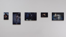 Installation photo, 78 of 91