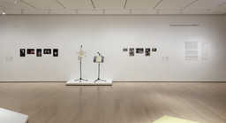 Installation photo, 8 of 91