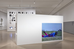 Installation photo, 87 of 91