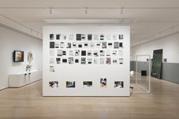 Installation photo, 88 of 91