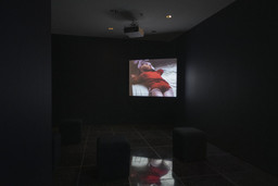 Installation photo, 13 of 23