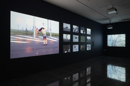 Installation photo, 17 of 23