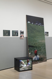 Installation photo, 48 of 91