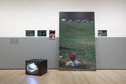 Installation photo, 49 of 91