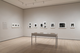 520: Picturing America. Ongoing. 10 other works identified