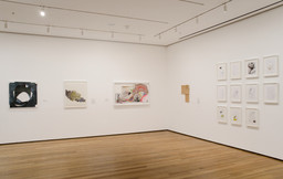 Installation photo, 18 of 22