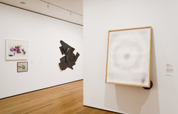 Installation photo, 20 of 22