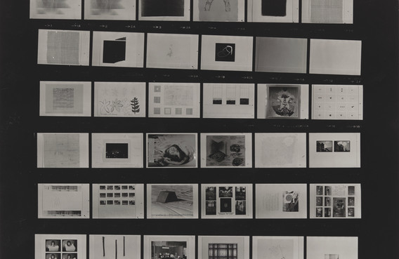 AVANT GARDE ART AND GREAT WAR CORK著 The Transformation of the Avant-Garde: The New York Art