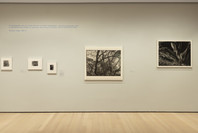Dorothea Lange: Words &amp; Pictures. Feb 9–Sep 19, 2020. 4 other works identified