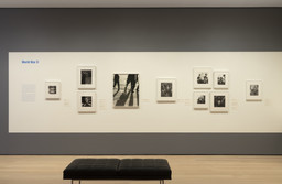 Installation photo, 16 of 28