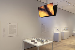 Installation photo, 19 of 22
