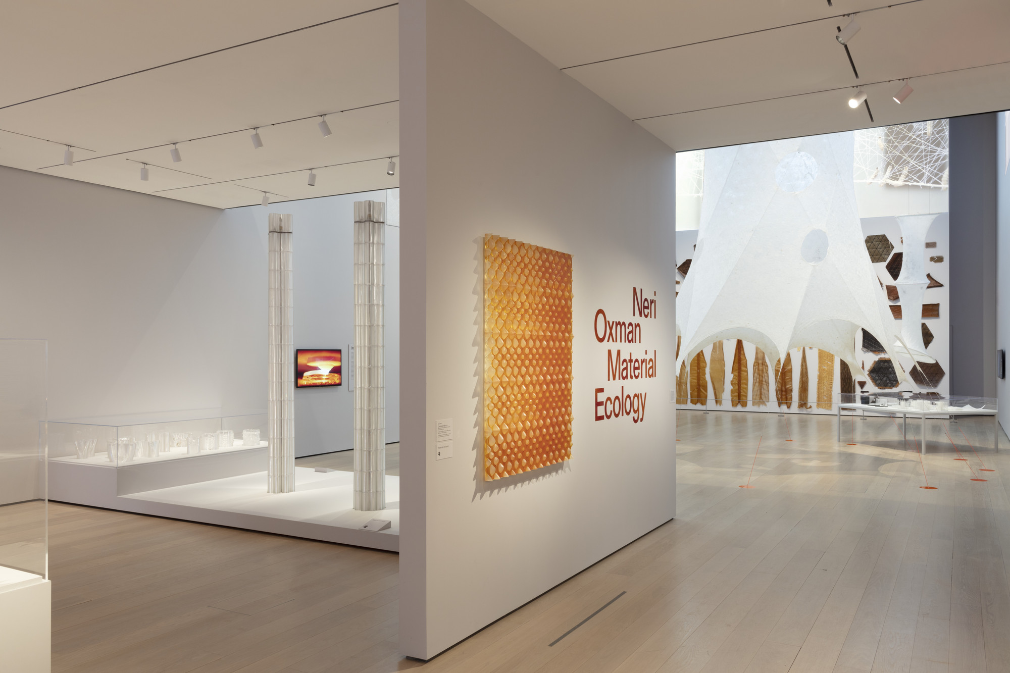 view of the Oxman: Material Ecology" | MoMA
