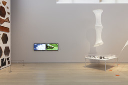 Installation photo, 7 of 22
