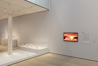 Neri Oxman: Material Ecology. May 14–Oct 18, 2020.