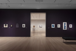 502: Early Photography and Film. Through fall 2021. 7 other works identified