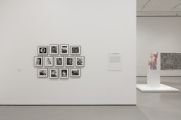 Installation photo, 5 of 6