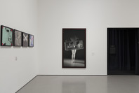 203: Hardware/Software. Fall 2019–Spring 2021. 4 other works identified