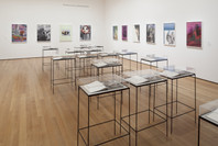 New Photography 2013: Adam Broomberg and Oliver Chanarin, Brendan Fowler, Annette Kelm, Lisa Oppenheim, Anna Ostoya, Josephine Pryde, Eileen Quinlan. Sep 14, 2013–Jan 6, 2014. 2 other works identified