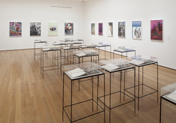 Installation photo, 11 of 21