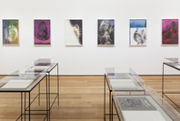 New Photography 2013: Adam Broomberg and Oliver Chanarin, Brendan Fowler, Annette Kelm, Lisa Oppenheim, Anna Ostoya, Josephine Pryde, Eileen Quinlan. Sep 14, 2013–Jan 6, 2014.