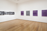 New Photography 2013: Adam Broomberg and Oliver Chanarin, Brendan Fowler, Annette Kelm, Lisa Oppenheim, Anna Ostoya, Josephine Pryde, Eileen Quinlan. Sep 14, 2013–Jan 6, 2014. 2 other works identified