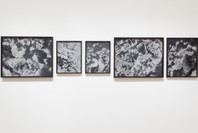 New Photography 2013: Adam Broomberg and Oliver Chanarin, Brendan Fowler, Annette Kelm, Lisa Oppenheim, Anna Ostoya, Josephine Pryde, Eileen Quinlan. Sep 14, 2013–Jan 6, 2014.