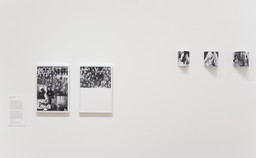 Installation photo, 20 of 21