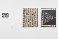 New Photography 2013: Adam Broomberg and Oliver Chanarin, Brendan Fowler, Annette Kelm, Lisa Oppenheim, Anna Ostoya, Josephine Pryde, Eileen Quinlan. Sep 14, 2013–Jan 6, 2014.