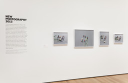 Installation photo, 3 of 21