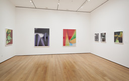 Installation photo, 5 of 21