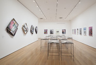 New Photography 2013: Adam Broomberg and Oliver Chanarin, Brendan Fowler, Annette Kelm, Lisa Oppenheim, Anna Ostoya, Josephine Pryde, Eileen Quinlan. Sep 14, 2013–Jan 6, 2014. 2 other works identified