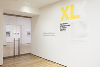 XL: 19 New Acquisitions in Photography. May 10, 2013–Jan 6, 2014. 1 other work identified