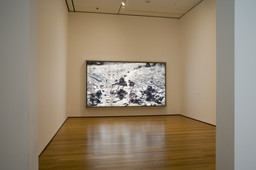 Installation photo, 14 of 35
