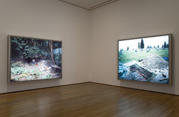 Installation photo, 30 of 35