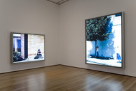 Jeff Wall. Feb 25–May 14, 2007.